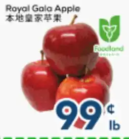 Oceans Fresh Food Market Local Royal Gala Apple offer