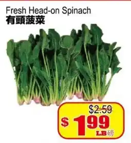 Yuan Ming Supermarket Fresh Head-on Spinach offer