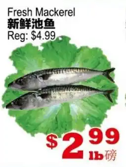 Yuan Ming Supermarket Fresh Mackerel offer