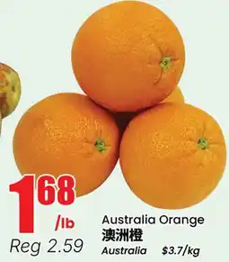 Terra Foodmart Australia Orange offer