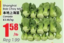 Terra Foodmart Shanghai Bok Choy Miu offer