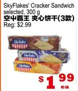 Yuan Ming Supermarket SkyFlakes' Cracker Sandwich offer