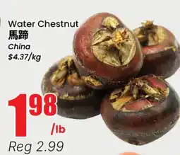 Terra Foodmart Water Chestnut offer