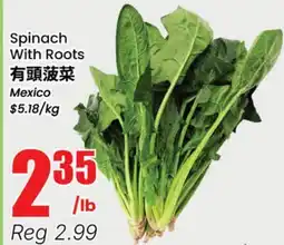 Terra Foodmart Spinach With Roots offer
