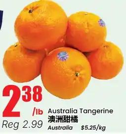 Terra Foodmart Australia Tangerine offer
