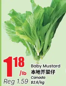 Terra Foodmart Baby Mustard offer