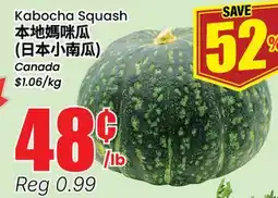 Terra Foodmart Kabocha Squash offer