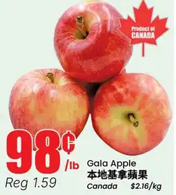 Terra Foodmart Gala Apple offer