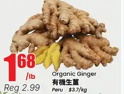 Terra Foodmart Organic Ginger offer
