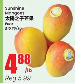 Terra Foodmart Sunshine Mangoes offer