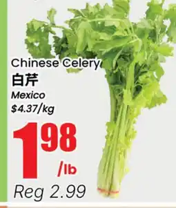 Terra Foodmart Chinese Celery offer