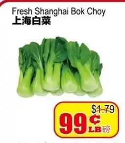 Yuan Ming Supermarket Fresh Shanghai Bok Choy offer