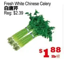 Yuan Ming Supermarket Fresh White Chinese Celery offer