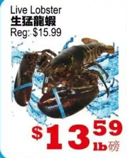 Yuan Ming Supermarket Live Lobster offer