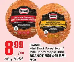 Terra Foodmart BRANDT Mini Black Forest Ham/Mini Honey Maple Ham offer