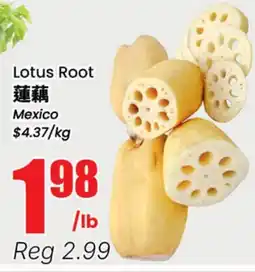 Terra Foodmart Lotus Root offer
