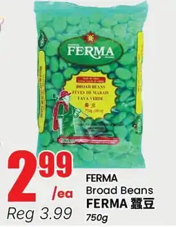 Terra Foodmart FERMA Broad Beans offer