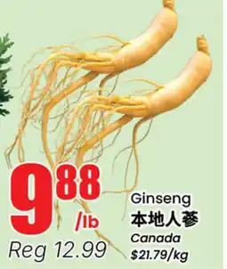 Terra Foodmart Ginseng offer