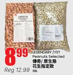 Terra Foodmart LEGENDARY / YST Peanuts Selected offer