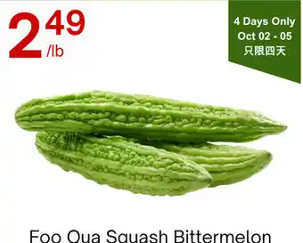 Foo Qua Squash Bittermelon