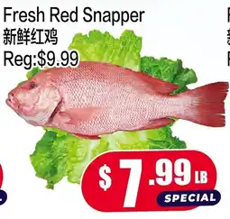 Fusion Supermarket Fresh Red Snapper offer