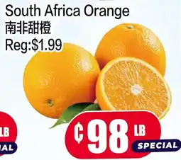 Fusion Supermarket South Africa Orange offer