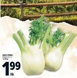 Metro Anise-fennel offer