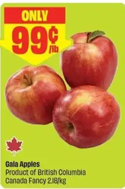 FreshCo Gaia Apples offer