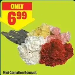 FreshCo Mini Carnation Bouquet offer