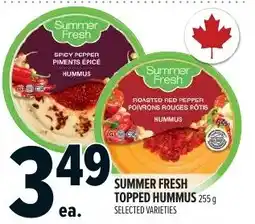 Metro Summer Fresh topped hummus offer