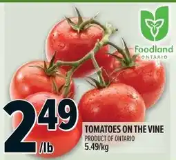 Metro Tomatoes on the vine offer