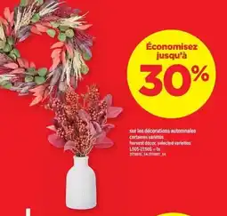 Maxi harvest décor selected varieties offer