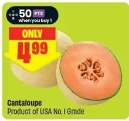 FreshCo Cantaloupe offer