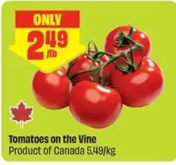 FreshCo Tomatoes on the Vine offer