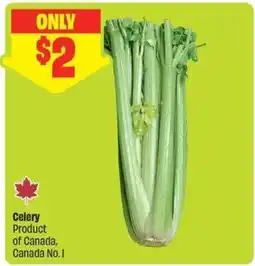 FreshCo Celery offer