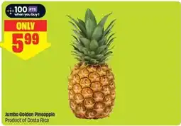 FreshCo Jumbo Golden Pineapple offer