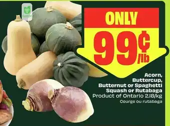 Acorn, Butternut, Buttercup, Squash or Rutabaga