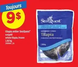 Maxi SeaQuest tilapia entier offer