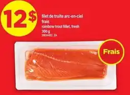 Maxi rainbow trout fillet offer