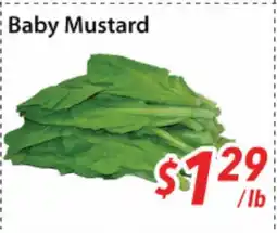 Bestco Food Mart Baby Mustard offer