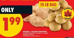 No Frills russet or yellow potatoes offer