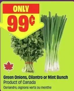 FreshCo Green Onions, Cilantro or Mint Bunch offer