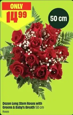 FreshCo Roses Dozen Long Stem Roses with Greens & Baby's Breath 50 cm offer