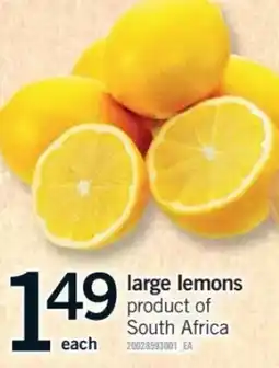 Fortinos large lemons offer