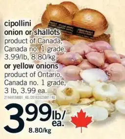 Fortinos cipollini onion or shallots offer