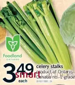 Fortinos celery stalks offer
