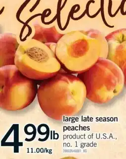 Fortinos peaches offer
