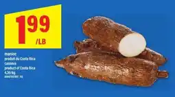 Maxi Manioc offer
