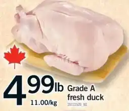 Fortinos fresh duck offer