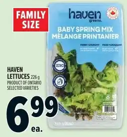 Metro Haven baby spring mix offer